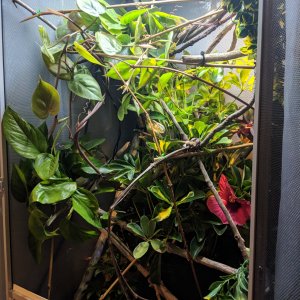 Enclosure Close Up 2