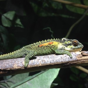Basking photoshot!