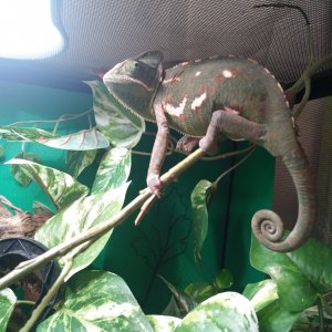 Look at that butt