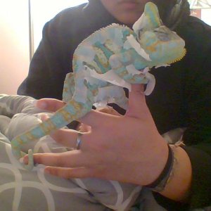 shedding time!!!