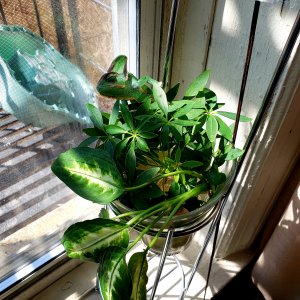 20190401_160650.jpg