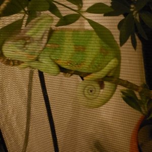 20190404_232545.jpg