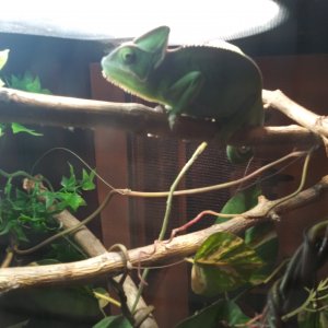 20190416_060129.jpg