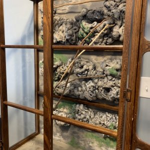 Faux rock wall and the floor have been installed!