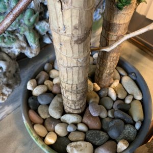 Layers of rocks to prevent Leo from eating the dirt.