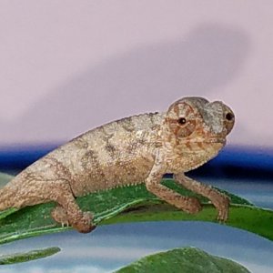 20190528_173200.jpg
