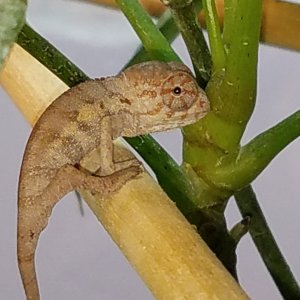 20190528_172126.jpg