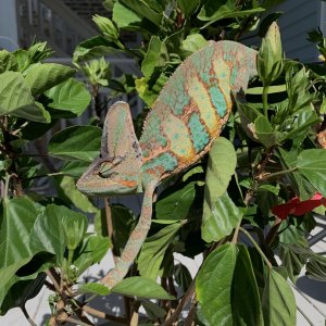 First Time Outside