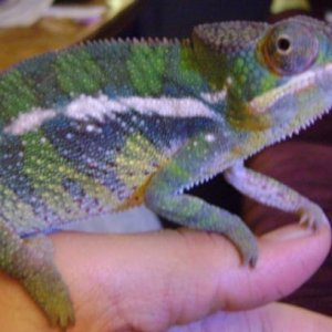 DSC01737