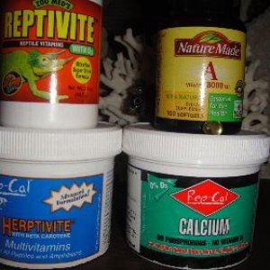 Supplements: 
ZOO MED'S REPTIVITE W/D3 - Once every other week
REP-CAL HERPTIVITE W/BETA CAROTENE - MULTIVITAMIN - Once a week
REP-CAL CALCIUM - NO