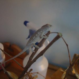 newsunny2