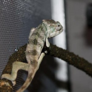 IMG 0806