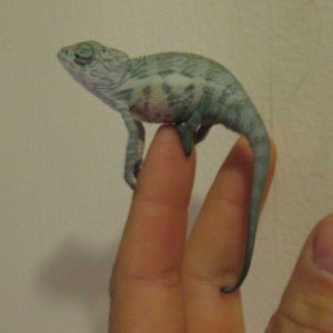AmbanjaBabies2010CH 004