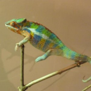 P1010074