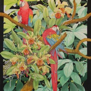 Scarlet macaws and Cattleya dowiana