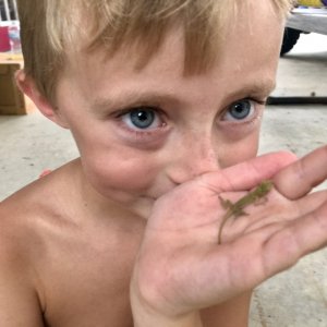 Ty and his baby green anole 6/25/19
