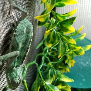 20190427_104623.jpg