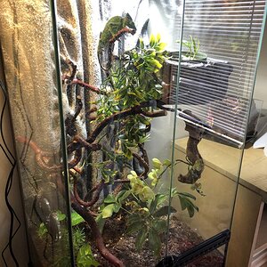 New Habitat