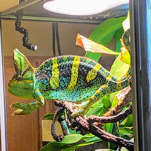 MVIMG_20190105_140018.jpg