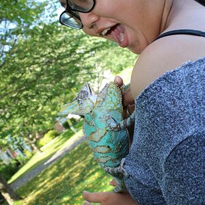 Apollo has reached a year with me!