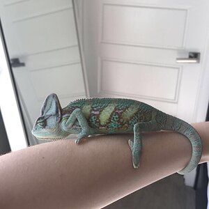 I think he likes me