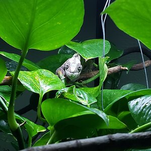 20190410_071113.jpg