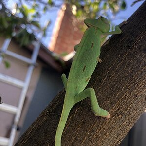 Climbing