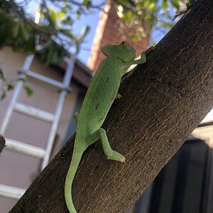 Climbing