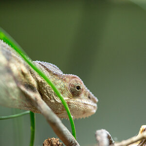 IMG_5114.jpg