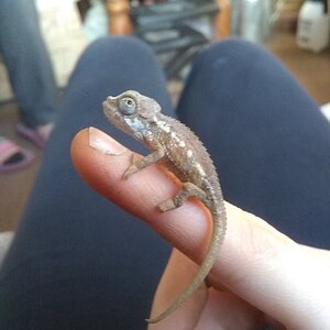 5 weeks old!