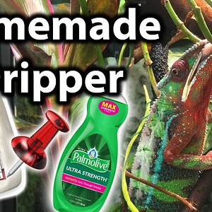 How to make a dripper for a chameleon | DIY
