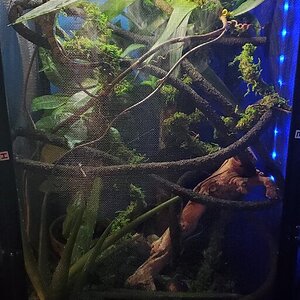 Added moss