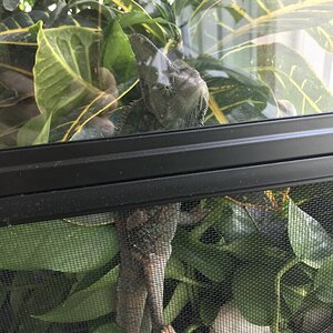 Out