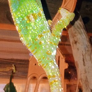 0313200714b~2.jpg