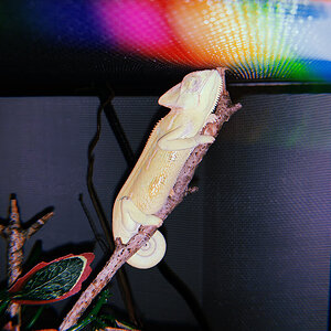 Sleepy baby