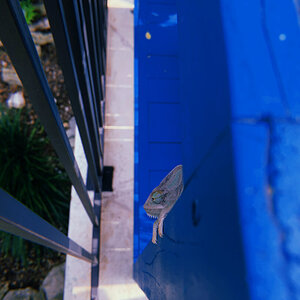 Peekaboo!