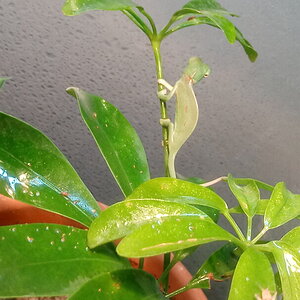 0412200713d.jpg