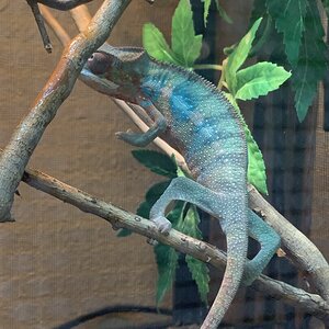 IMG_6492.JPG