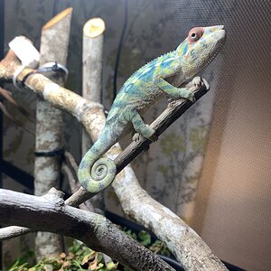 Snack time