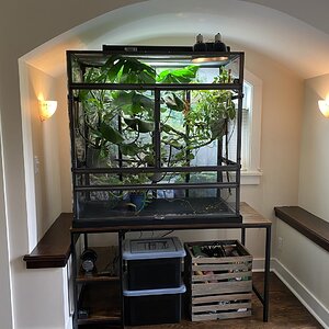 EnclosureEnclosure Dragon Strand 4 Foot Atrium Clear Sides