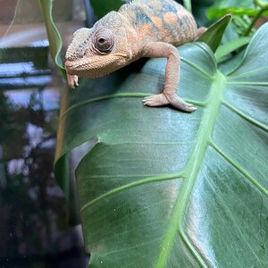 Curious girl