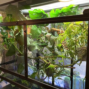 Enclosure setup