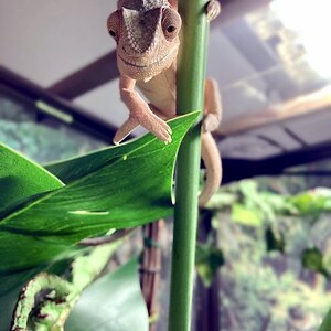 Climbing time