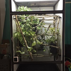 Medium Tall Atrium Coverted to solid sides and back