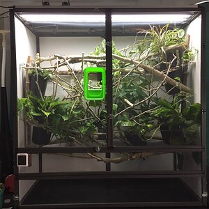 Large Hybrid Atrium