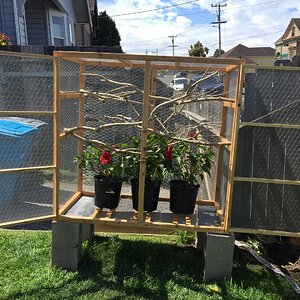 Outdoor enclosure