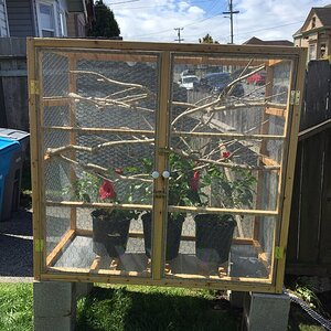 Outdoor enclosure