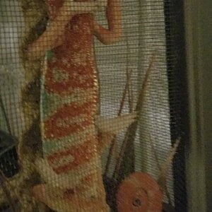 20200708_220703.jpg