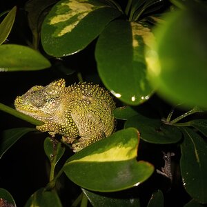 20200924_220317.jpg