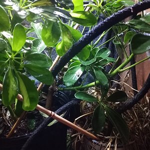 20201001_223037.jpg